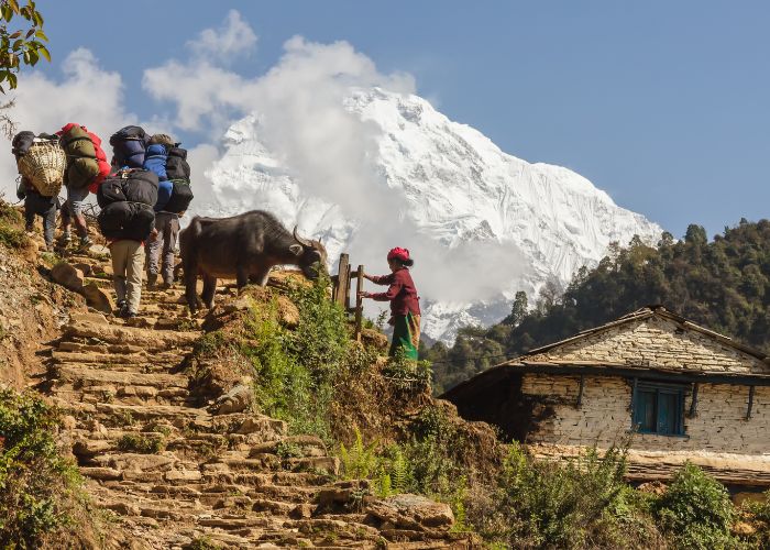 Your Complete Guide to the Annapurna Circuit Trek