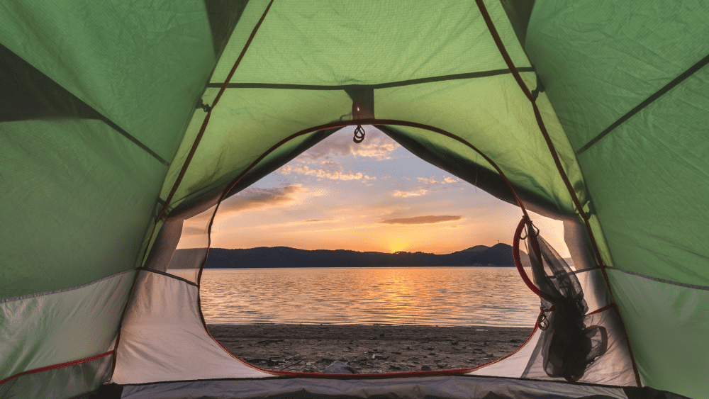 5 Survival Hacks You Need to Know