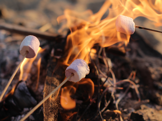 Smores