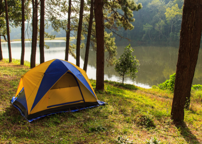 Stealth Camping