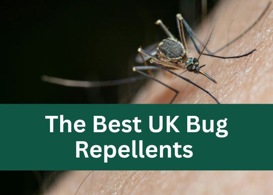 Don't Get Eaten Alive: The Best UK Bug Repellents For Outdoor Adventures