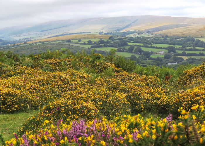 Dartmoor Wild Camping Update: Supreme Court Ruling