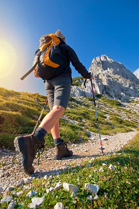 For Adventures Great & Small