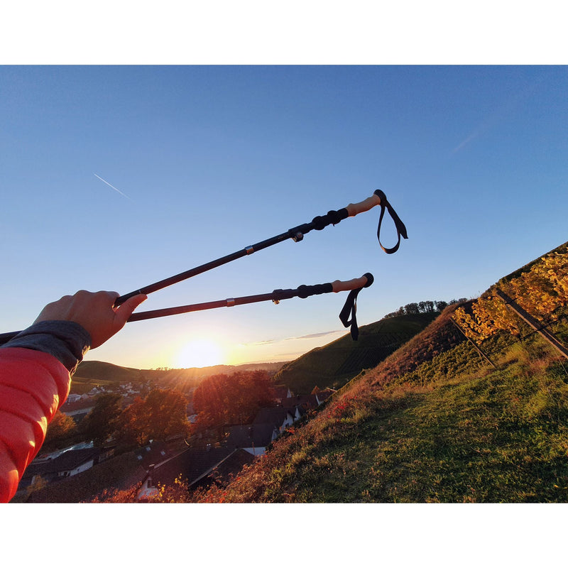 Load image into Gallery viewer, Origin Outdoors 'Micro-Fold' Trekking Poles By Origin Outdoors
