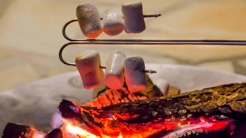 Load image into Gallery viewer, Petromax Skewer LS1 or LS2 By PetroMax
